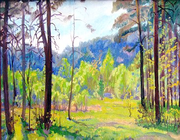 Spring. Chelyabinsk pine forest