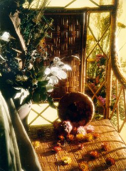 Vera Motovilova: Sultry noon