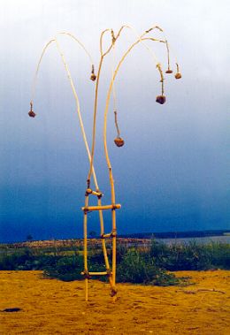 Progressive JPEG file, 17K